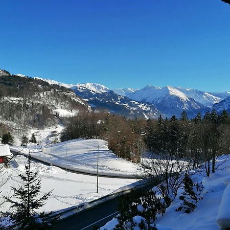 Gemuetliche Fewo Mit Sauna Inmitten Der Berge Meiringen Exteriér fotografie