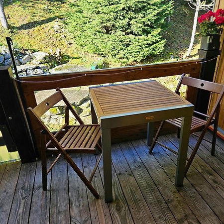 Gemuetliche Fewo Mit Sauna Inmitten Der Berge Meiringen Exteriér fotografie
