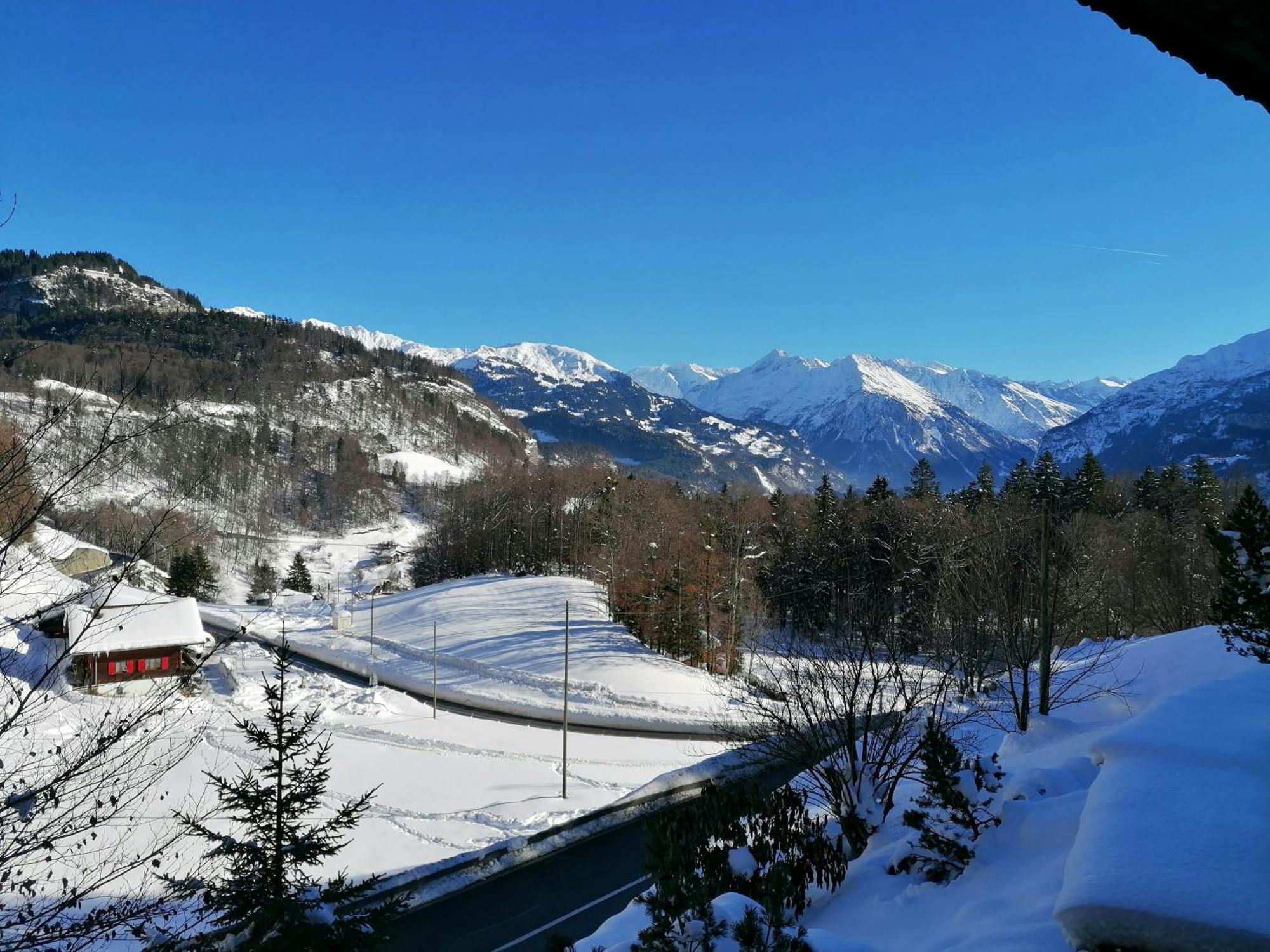 Gemuetliche Fewo Mit Sauna Inmitten Der Berge Meiringen Exteriér fotografie