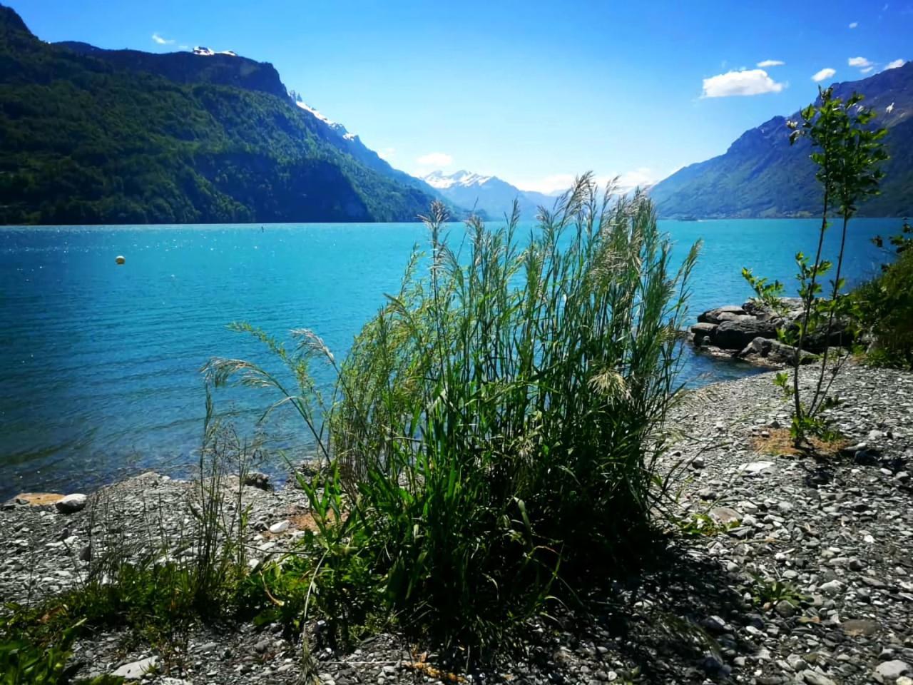 Gemuetliche Fewo Mit Sauna Inmitten Der Berge Meiringen Exteriér fotografie