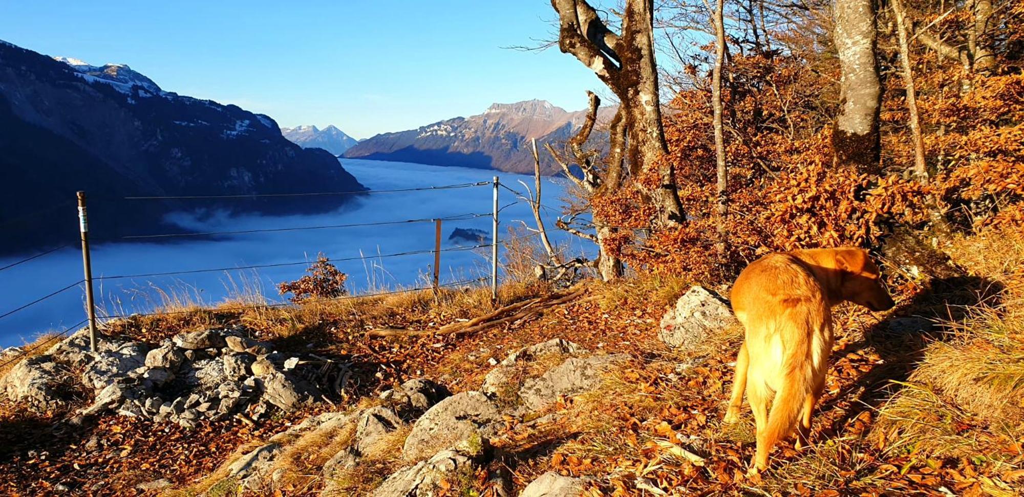 Gemuetliche Fewo Mit Sauna Inmitten Der Berge Meiringen Exteriér fotografie