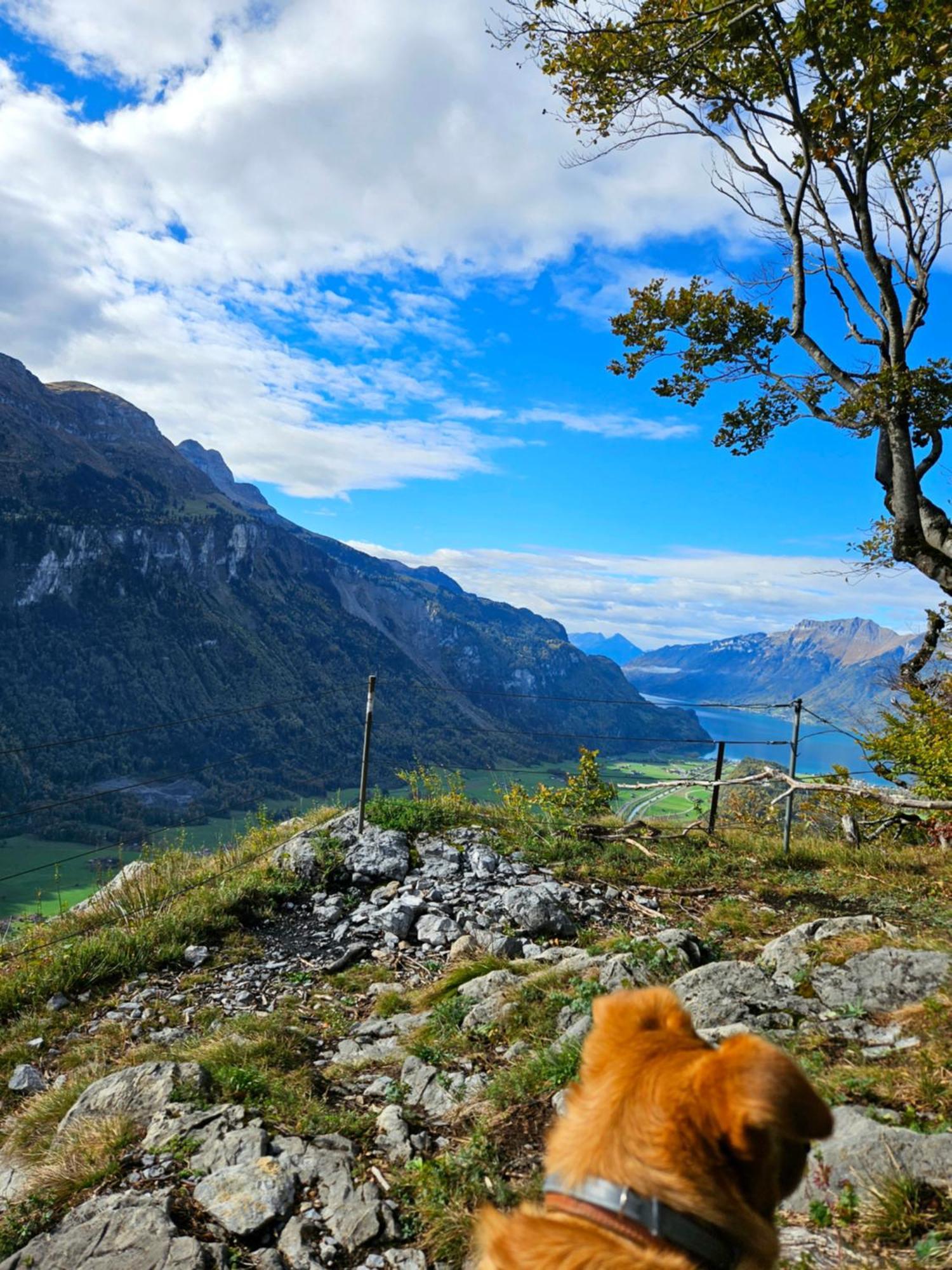 Gemuetliche Fewo Mit Sauna Inmitten Der Berge Meiringen Exteriér fotografie