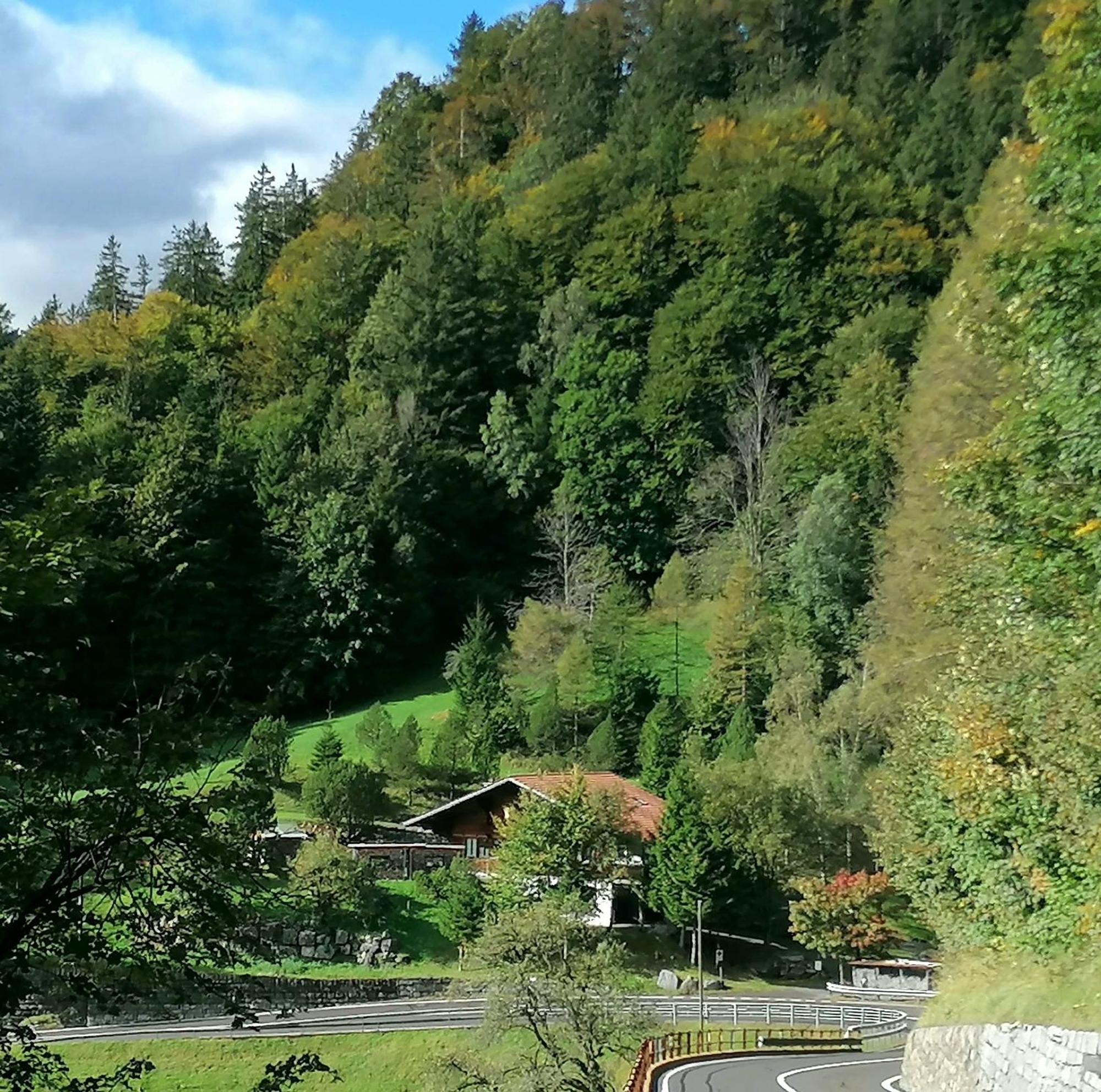 Gemuetliche Fewo Mit Sauna Inmitten Der Berge Meiringen Exteriér fotografie